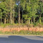 Chácara de frente para o asfalto, próximo a estrada da Ribeira